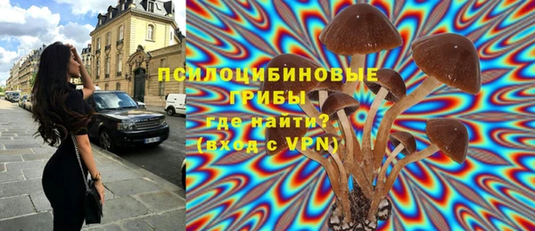 гидропоника Кодинск