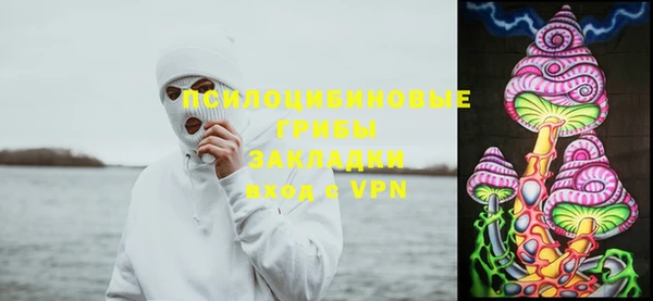ешки Козловка