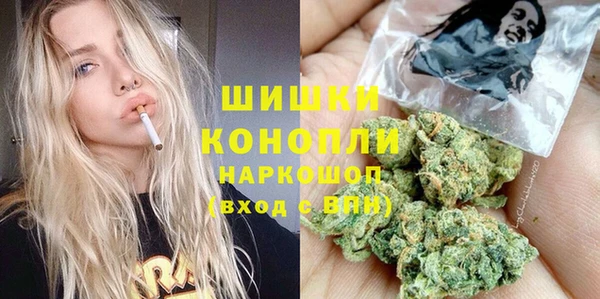 гидропоника Кодинск