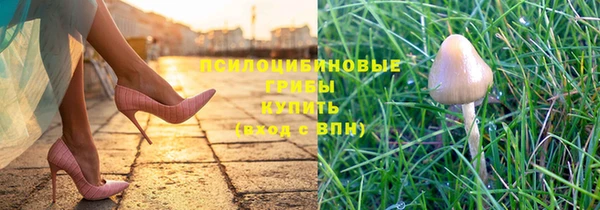 гидропоника Кодинск