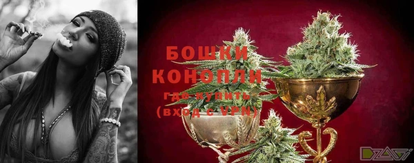 ешки Козловка