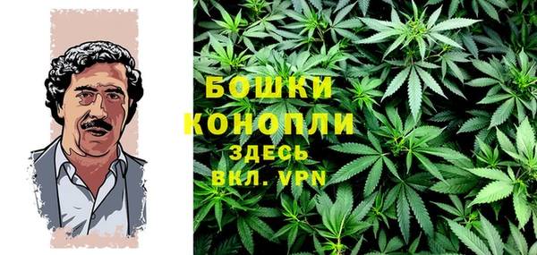 прущие грибы Кинешма