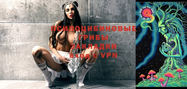 прущие грибы Кинешма