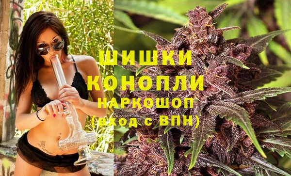 ешки Козловка