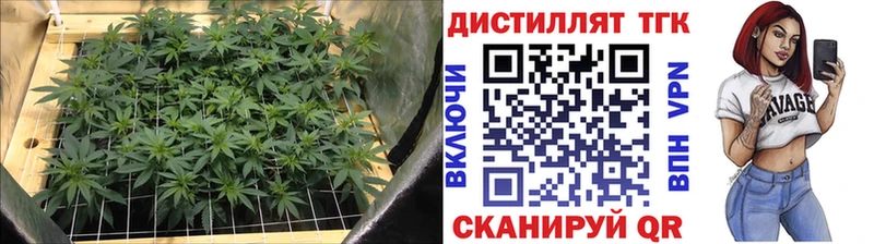Дистиллят ТГК вейп с тгк  Купить где  Заозёрный 