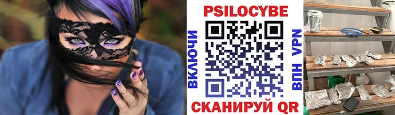 Псилоцибиновые грибы Psilocybine cubensis  Купить  Заозёрный 