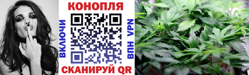 Шишки марихуана планчик  Купить где  Заозёрный 
